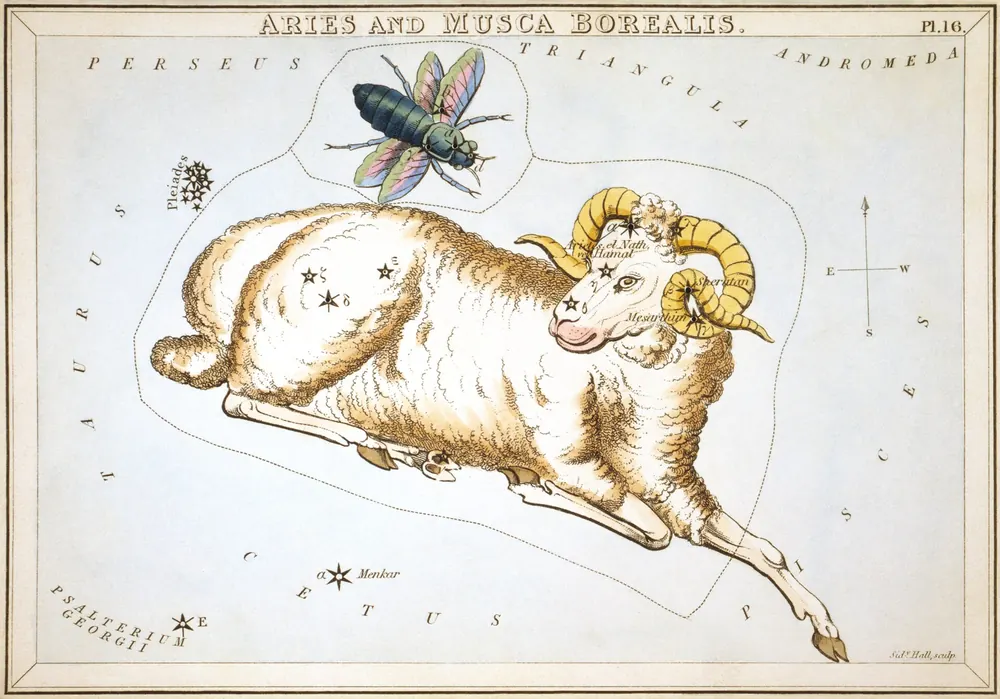 Lámina de Aries, de un atlas del cielo de 1824