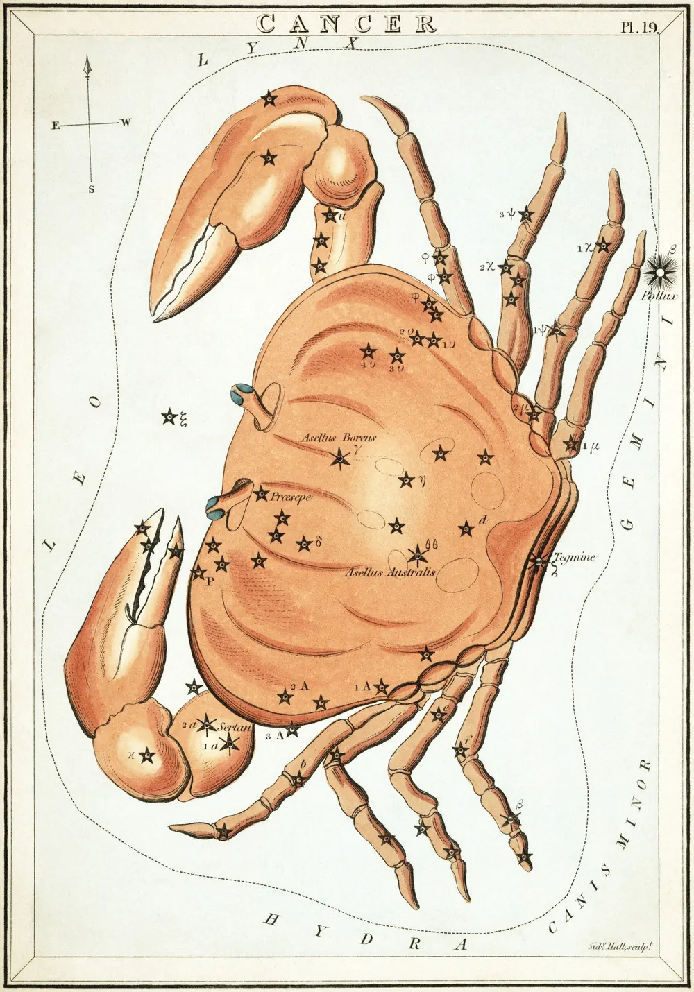 Lámina de Cáncer, de un atlas del cielo de 1824