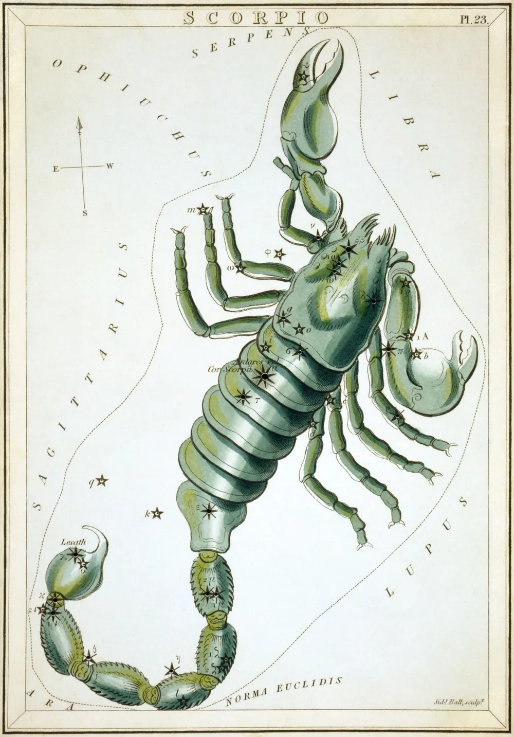 Lámina de Escorpio, de un atlas del cielo de 1824