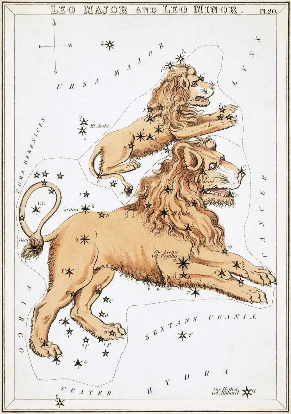 Lámina de Leo, de un atlas del cielo de 1824