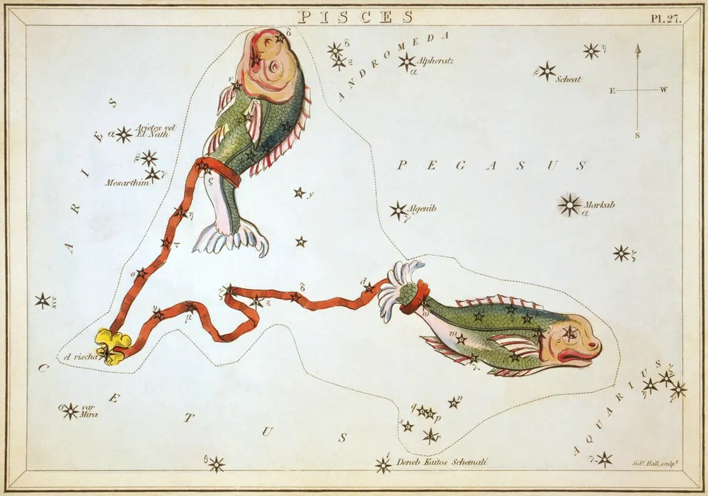 Lámina de Piscis, de un atlas del cielo de 1824